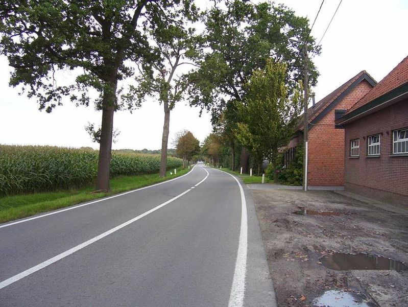 calfsven 077