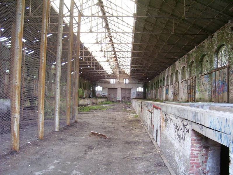 calfsven 096
