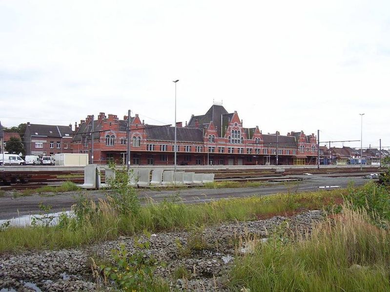 calfsven 099