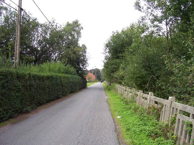 calfsven 107