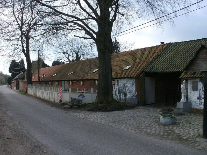 essen-11 098