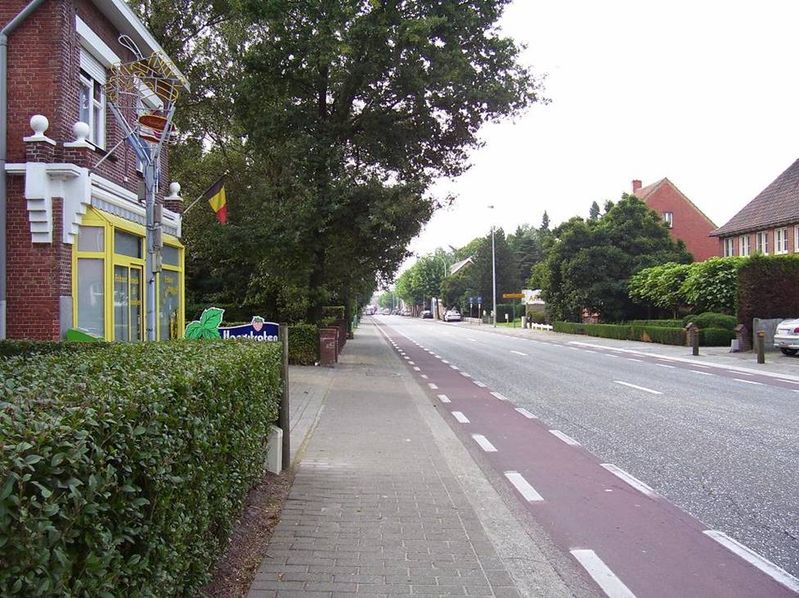 minderhout 035