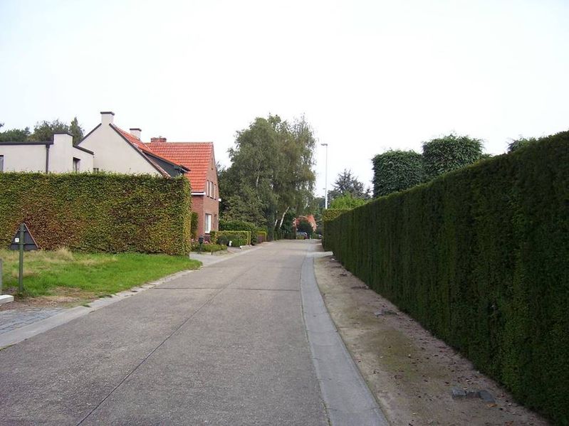 minderhout 040