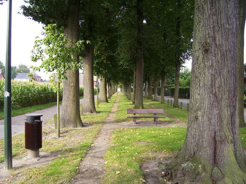 minderhout 047