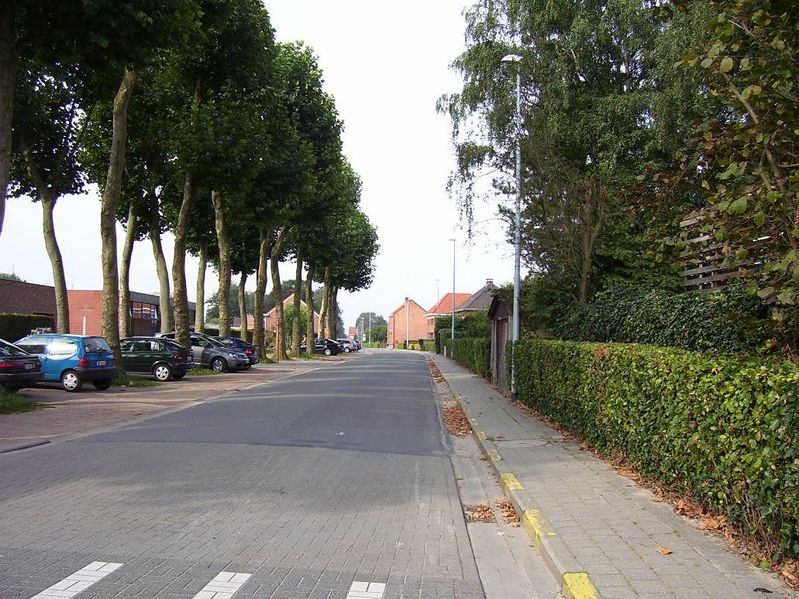 minderhout 050