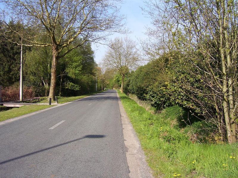 wortel-5 004