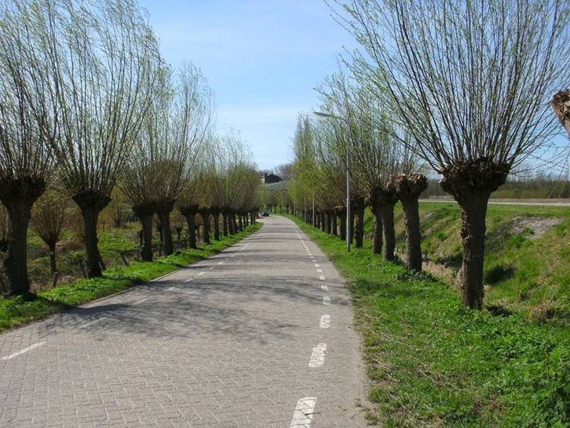 numansdorp 120