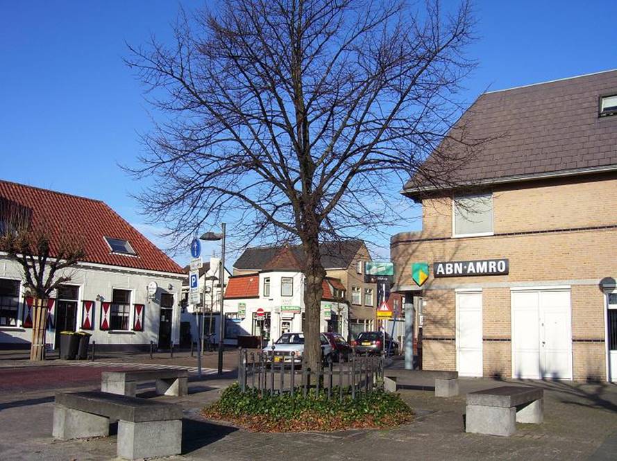 boom dorpsplein