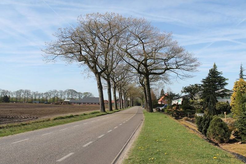 http://www.breda-en-alles-daaromheen.nl/rijsbergen%20in%20beeld_bestanden/image330.jpg