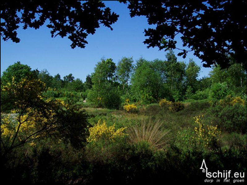 de heemtuin te rucphen