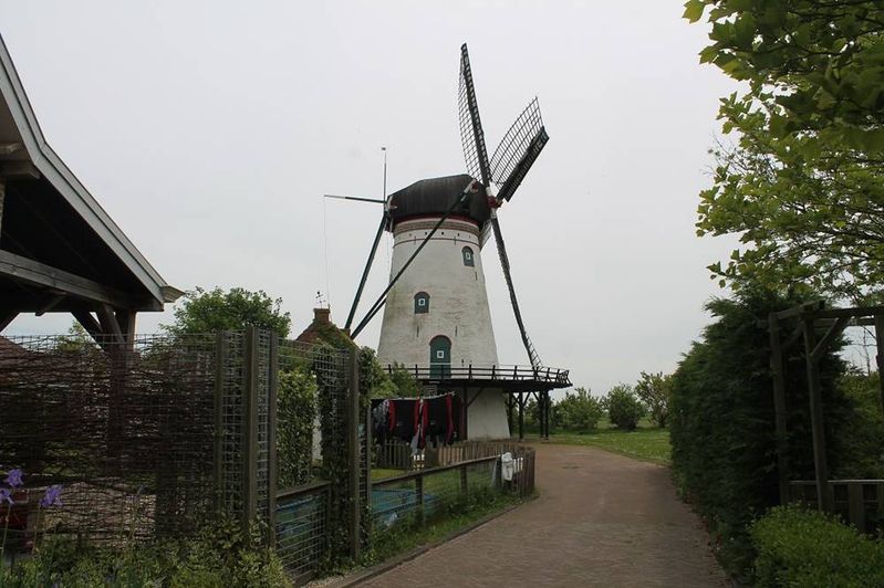 IMG_5292