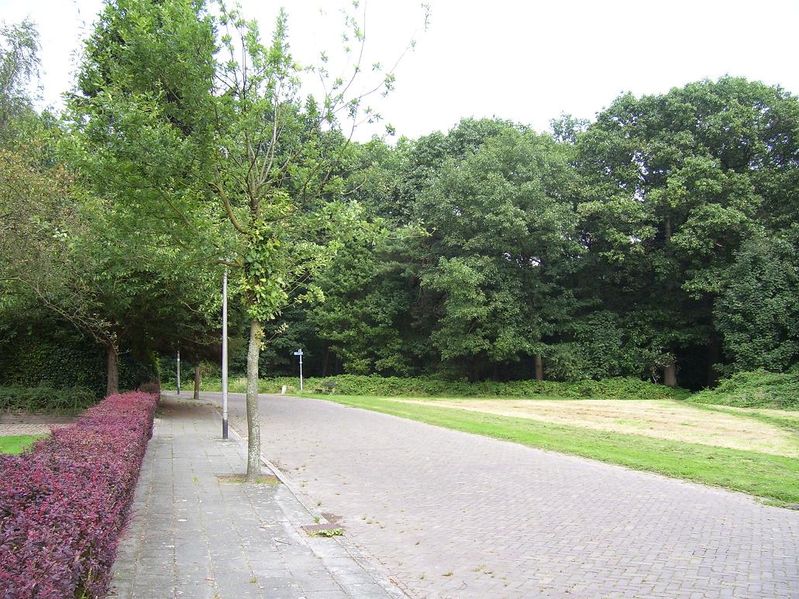 ulvenhout-4 004