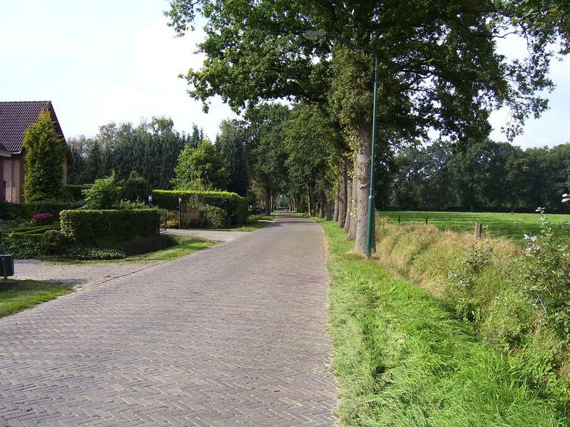 ulvenhoutsebos 057