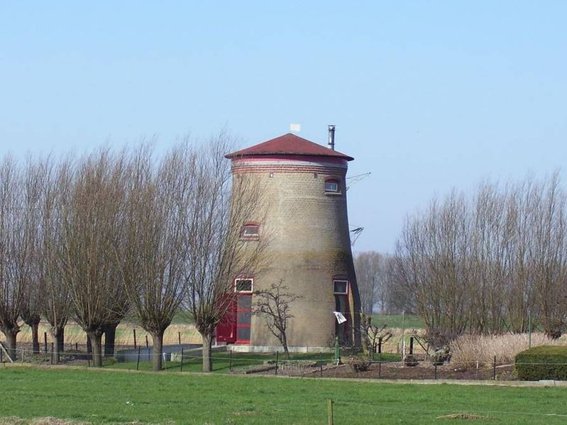 hooge zwaluwe-5 014