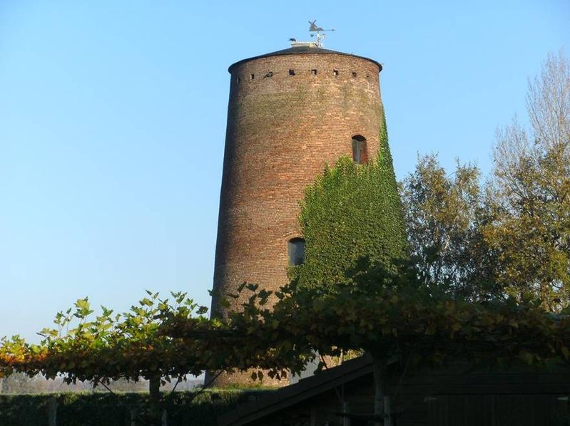 meerle en breda 030
