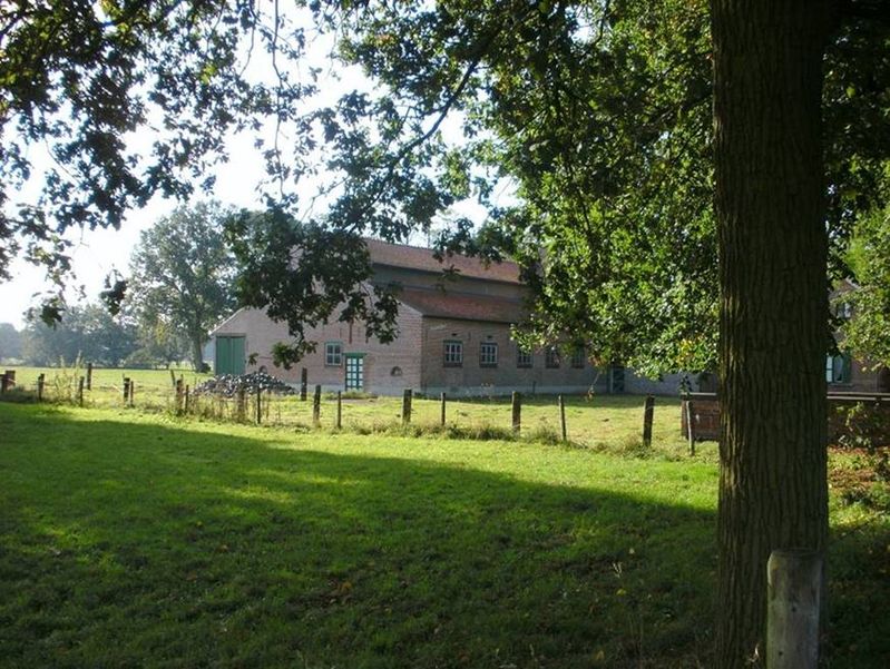 BILD0042